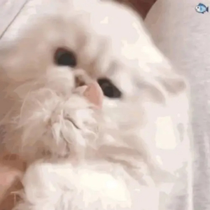 按摩喷潮在线播放无码
